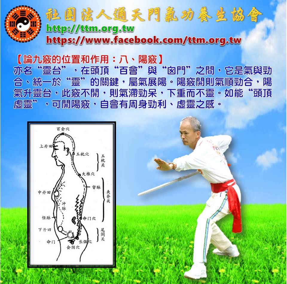 论九窍的位置和作用:八,阳窍